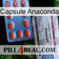 Anaconda Capsule 36